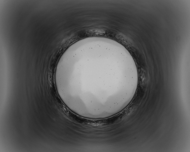 X0000086910745200705071303