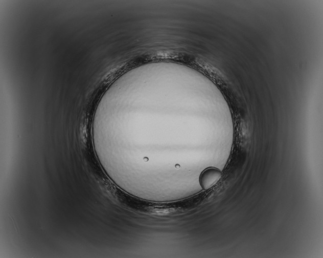 X0000086910746200705071303