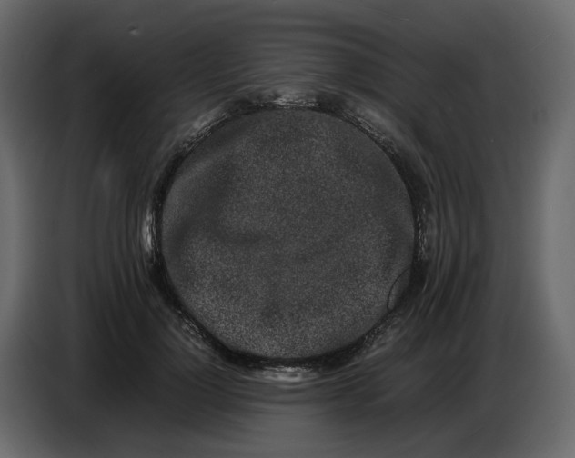 X0000086910748200705071303