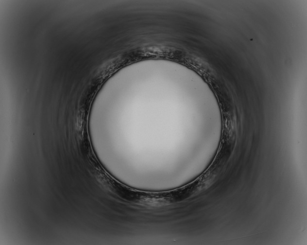 X0000086910749200705071303