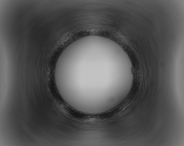 X0000086910750200705071303