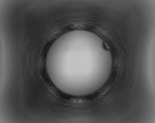 X0000086910751200705071303