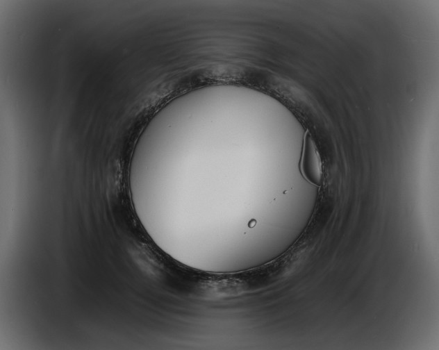 X0000086910752200705071303