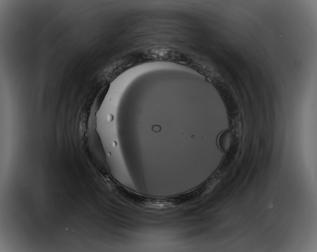 X0000086910754200705071303