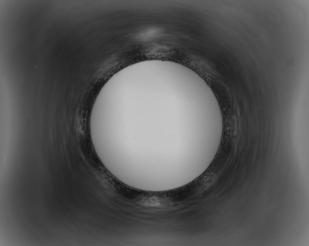 X0000086910755200705071303