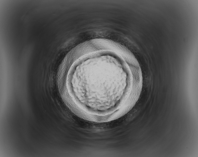 X0000086910757200705071303