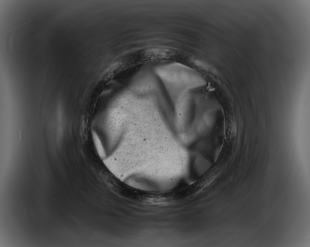 X0000086910759200705071303