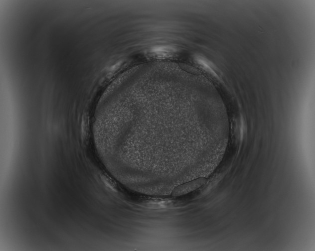 X0000086910760200705071304