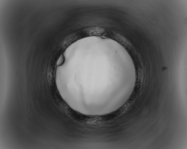 X0000086910761200705071304