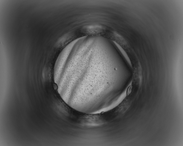 X0000086910762200705071304