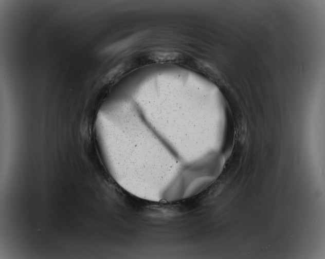 X0000086910763200705071304