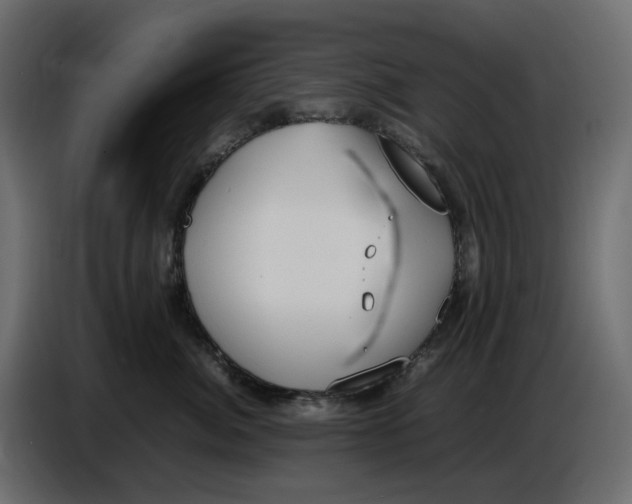 X0000086910764200705071304