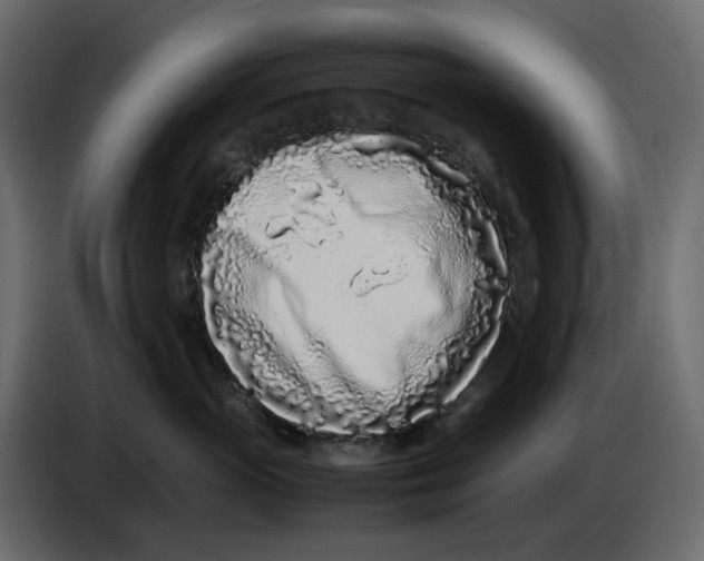 X0000086910765200705071304