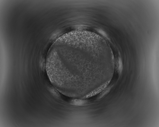 X0000086910766200705071304