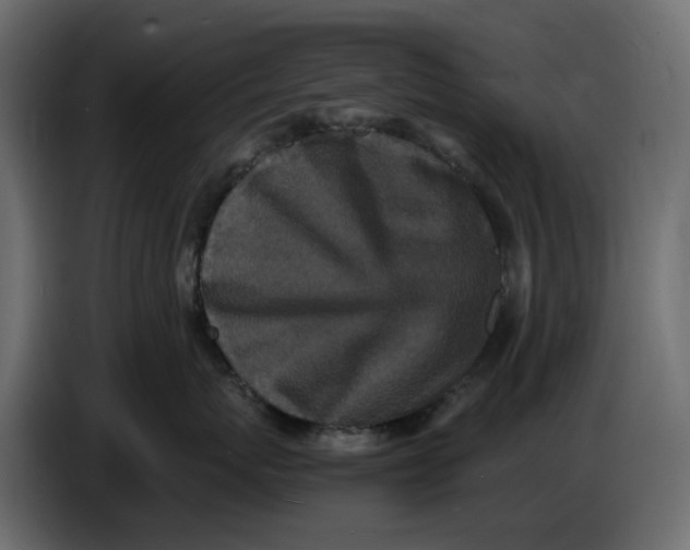 X0000086910767200705071304