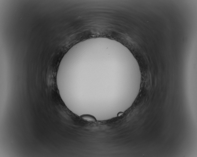 X0000086910770200705071303