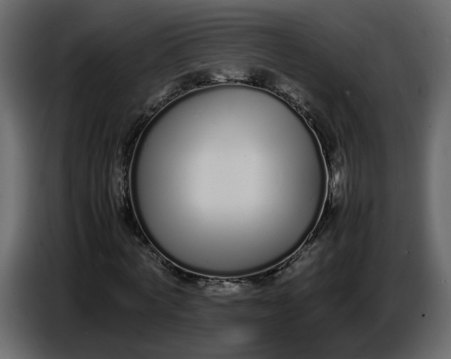 X0000086910772200705071303