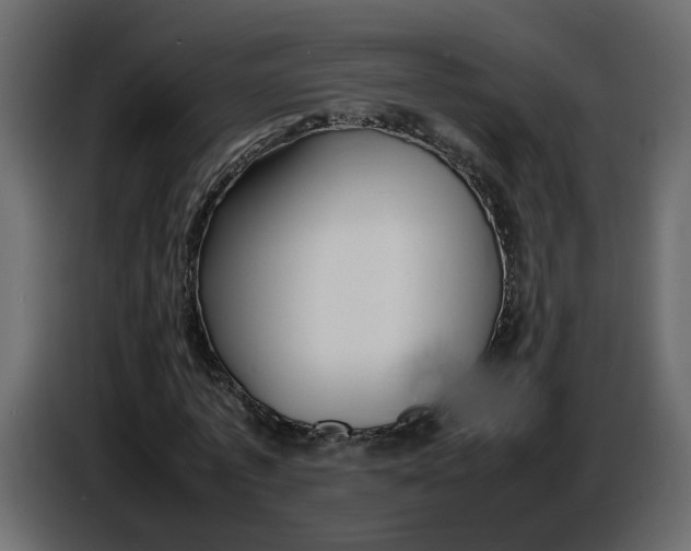 X0000086910773200705071303