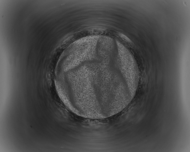 X0000086910774200705071303