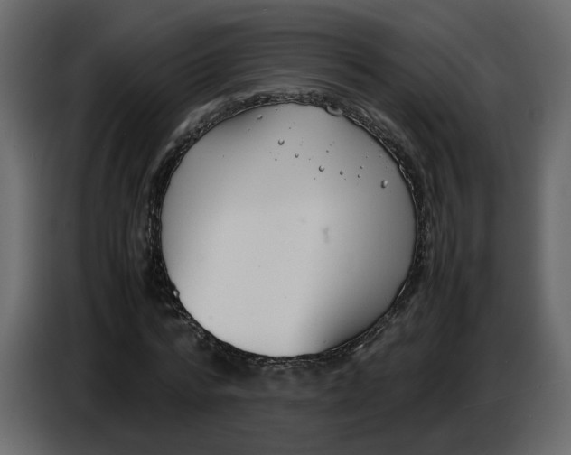 X0000086910776200705071303