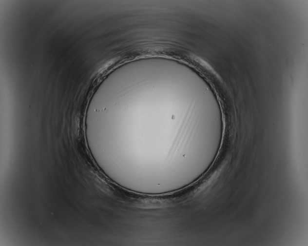 X0000086910777200705071303