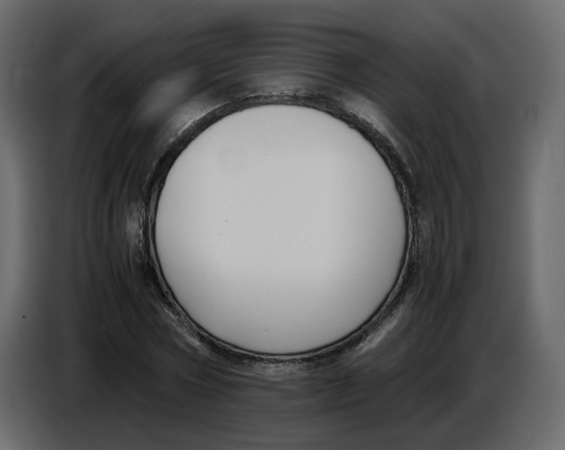 X0000086910778200705071303