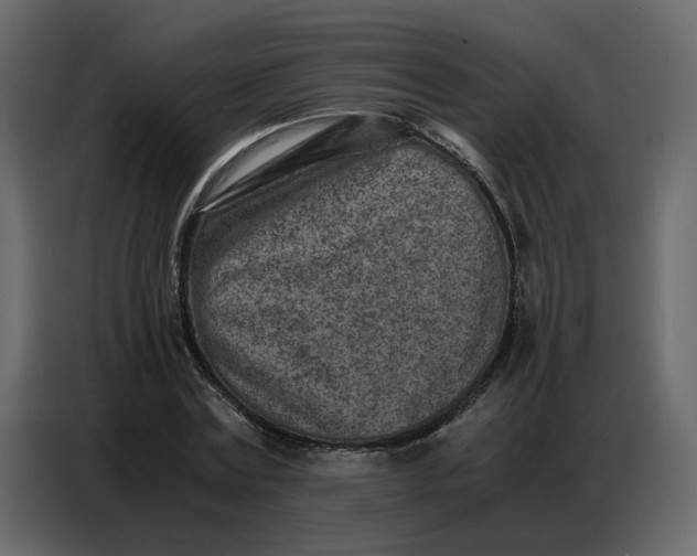 X0000086910779200705071303