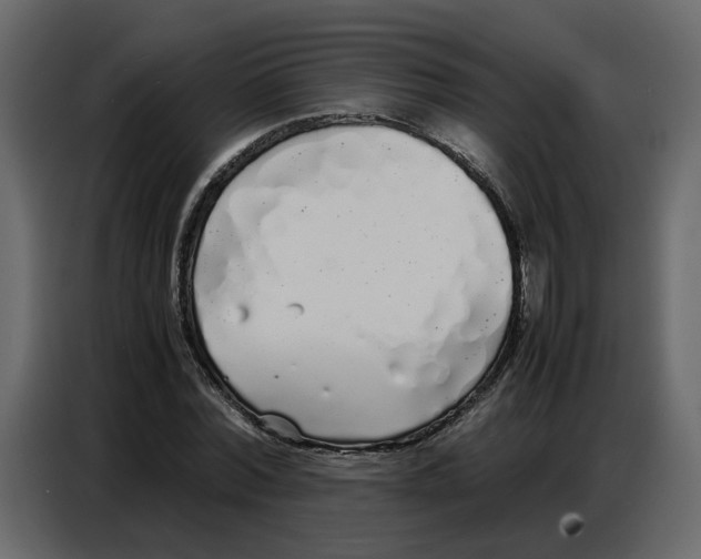 X0000086910780200705071303