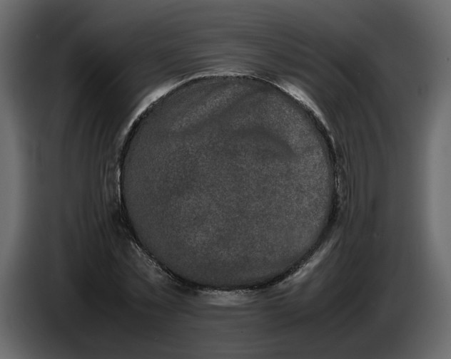 X0000086910781200705071303