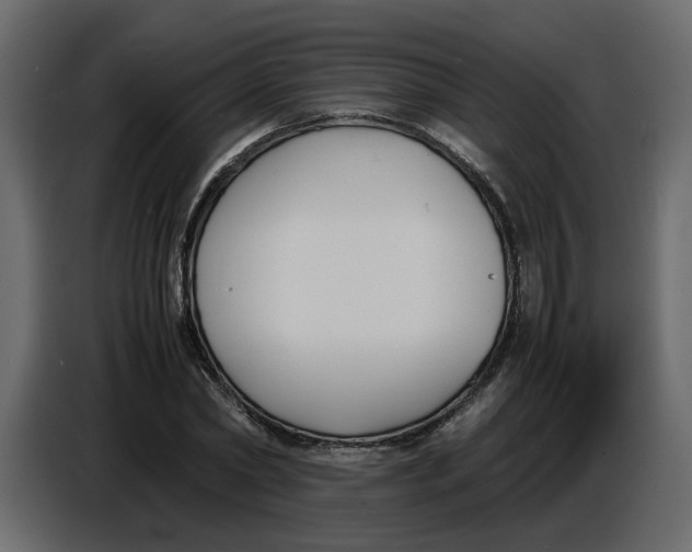 X0000086910782200705071303