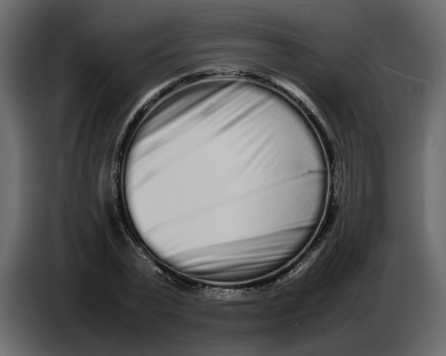 X0000086910783200705071303