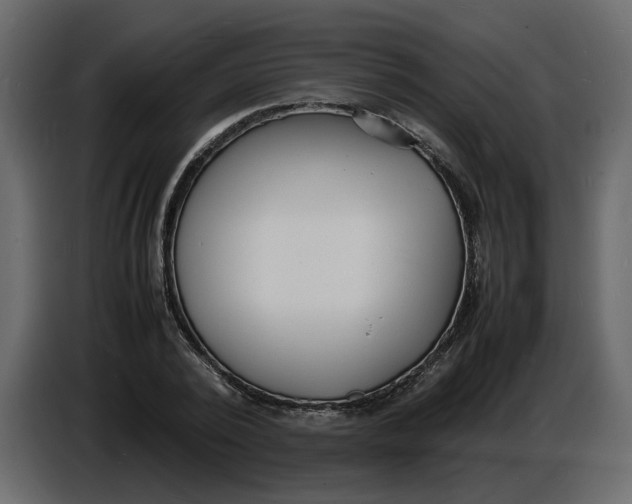 X0000086910784200705071303