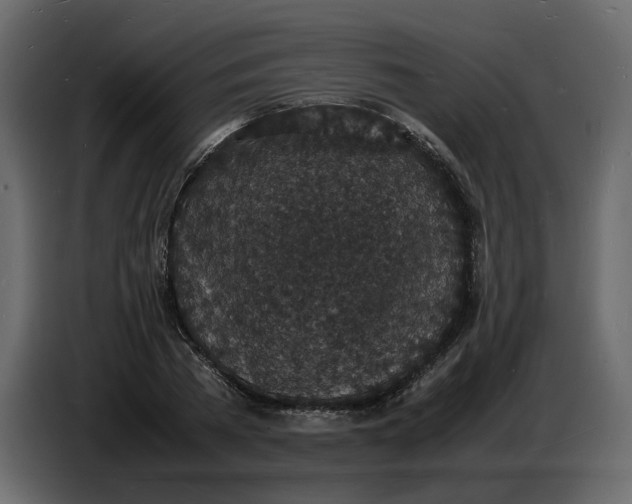 X0000086910785200705071303