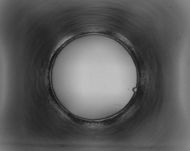 X0000086910786200705071303