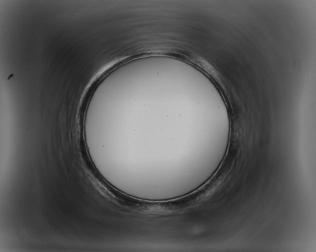 X0000086910787200705071303