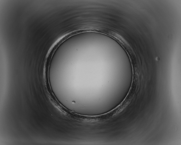 X0000086910788200705071303