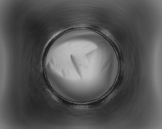 X0000086910789200705071303