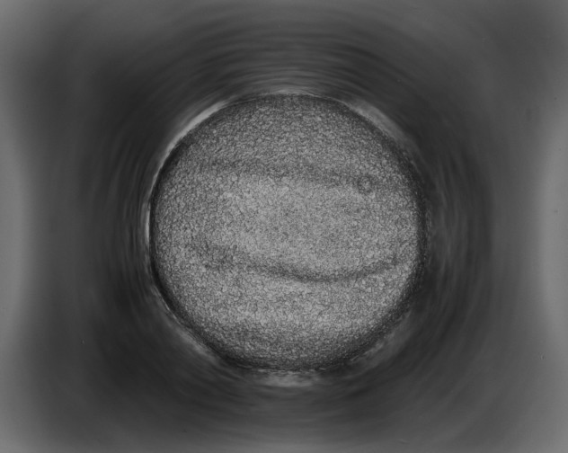 X0000086910790200705071303