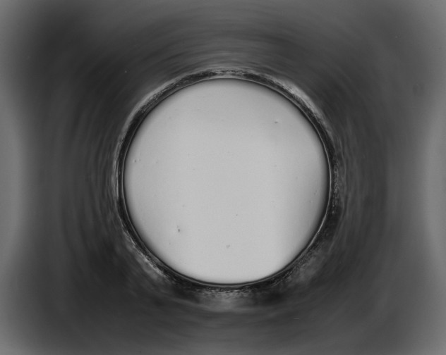 X0000086910791200705071303