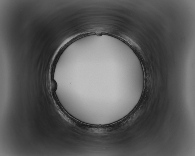 X0000086910792200705071303