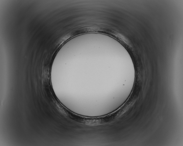 X0000086910793200705071303