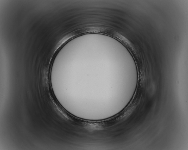 X0000086910794200705071303