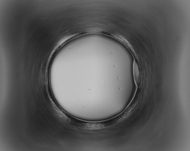 X0000086910795200705071303