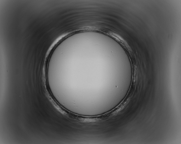 X0000086910796200705071303