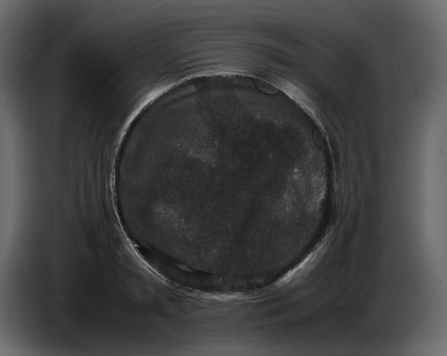 X0000086910797200705071303