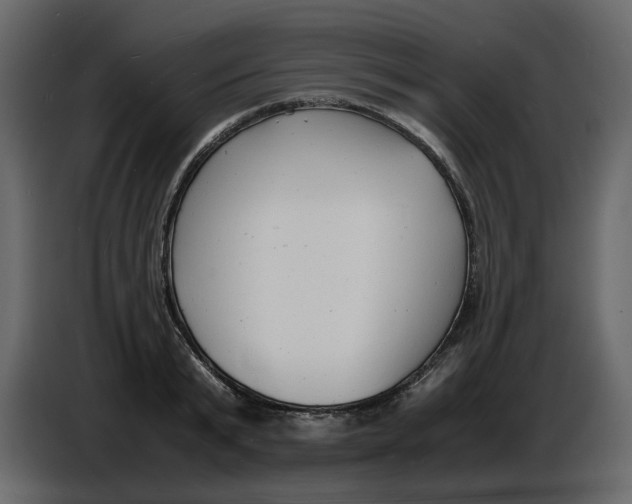 X0000086910799200705071303