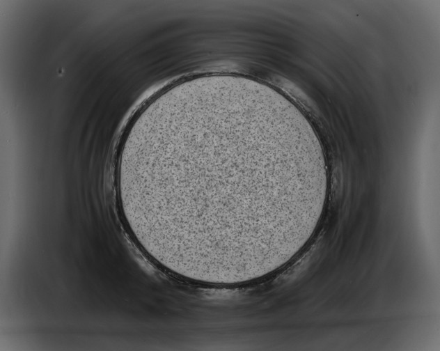 X0000086910800200705071303