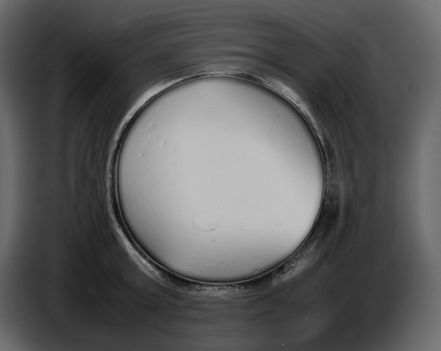 X0000086910803200705071303