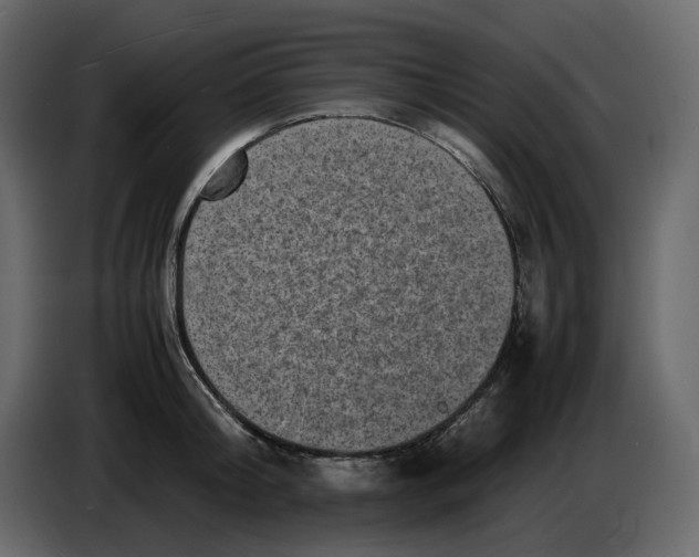 X0000086910804200705071303