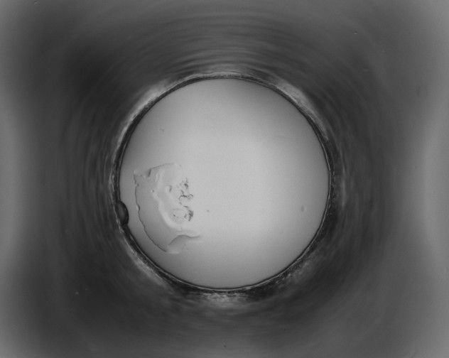 X0000086910805200705071303